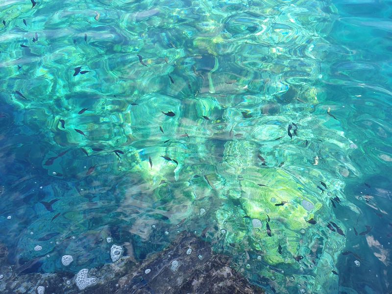 phare-de-vieux-fort_4