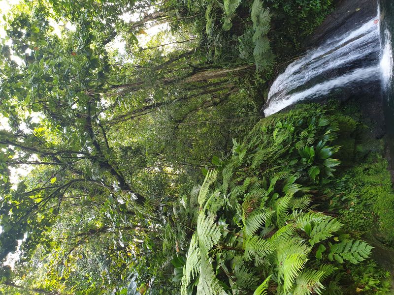 chute-aux-ecrevisses_4