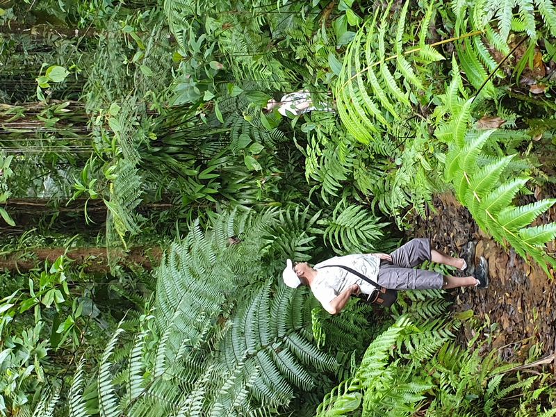 3-eme-chute-du-carbet_6