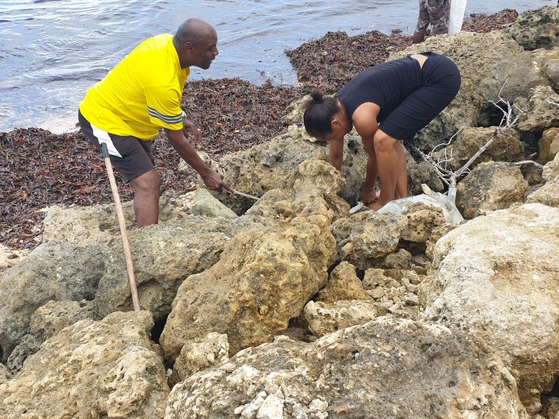 les-pecheurs-de-crabe-a-port-louis