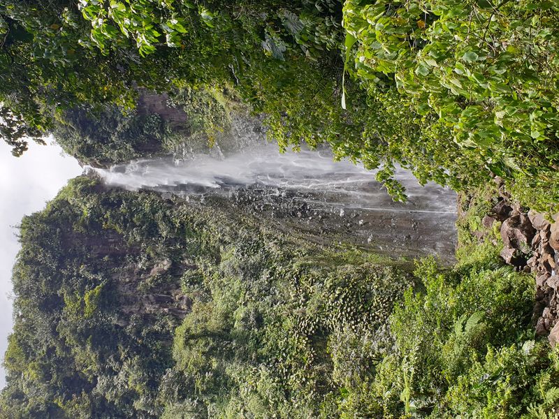 2nd-chute-du-carbet_6