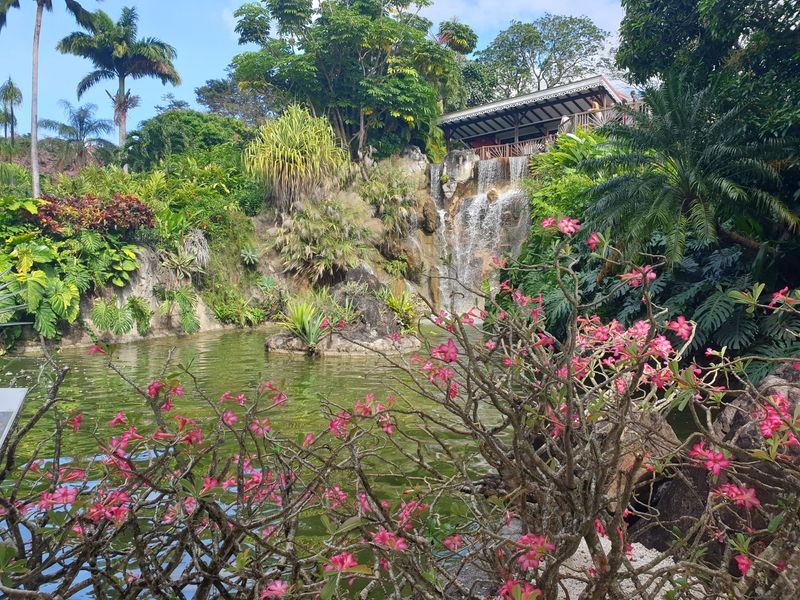 jardin-botanique-coluche-de-deshaies_6