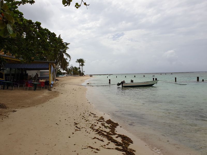 marche-de-sainte-anne