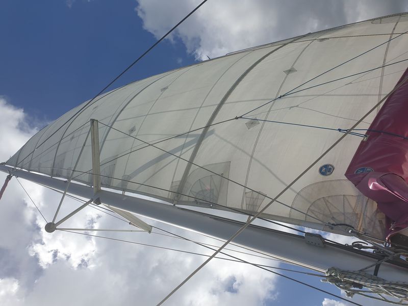 sortie-en-catamaran_11