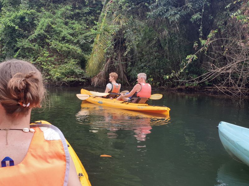 kayak-dans-la-mangrove_7
