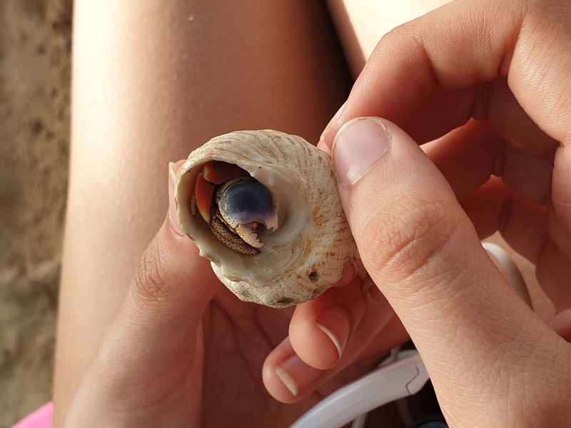 plage-de-la-chapelle_3