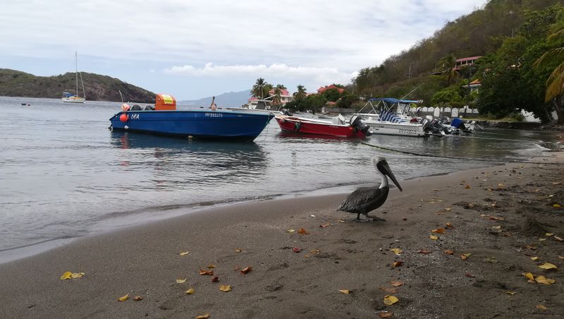 plage-de-lanse-mire_7