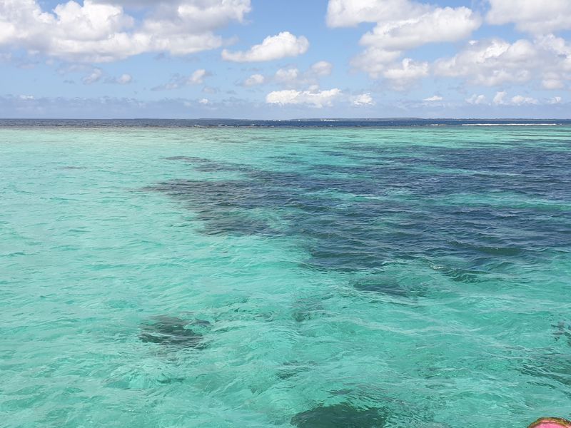 entre-lile-fajou-et-la-barriere-de-corail_12