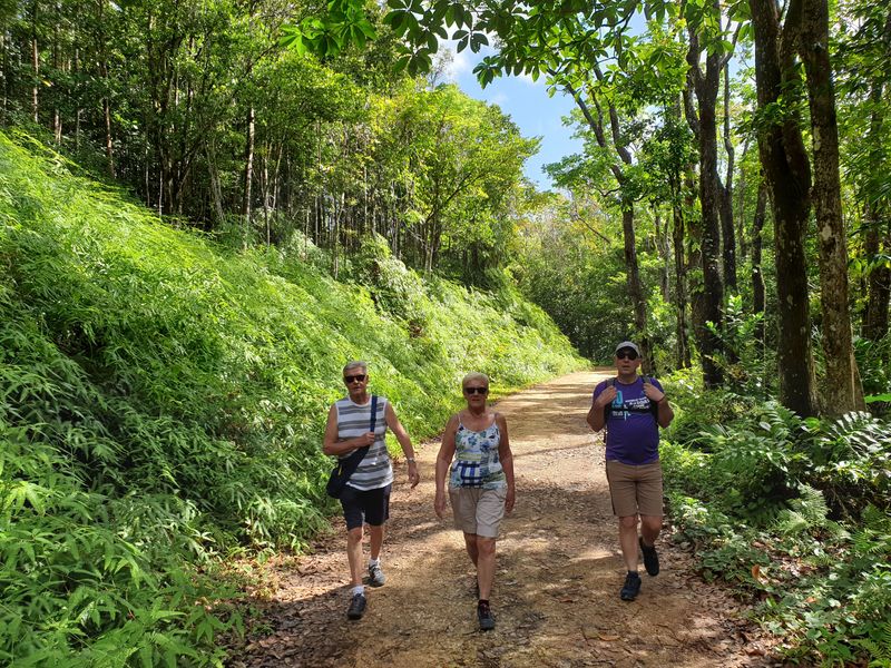 page-or-paragraph-content_3