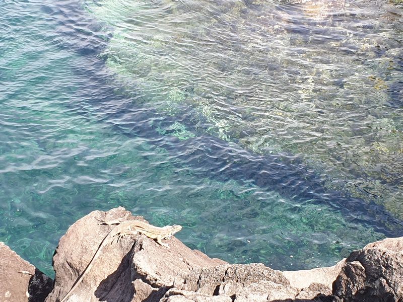 phare-de-vieux-fort_5