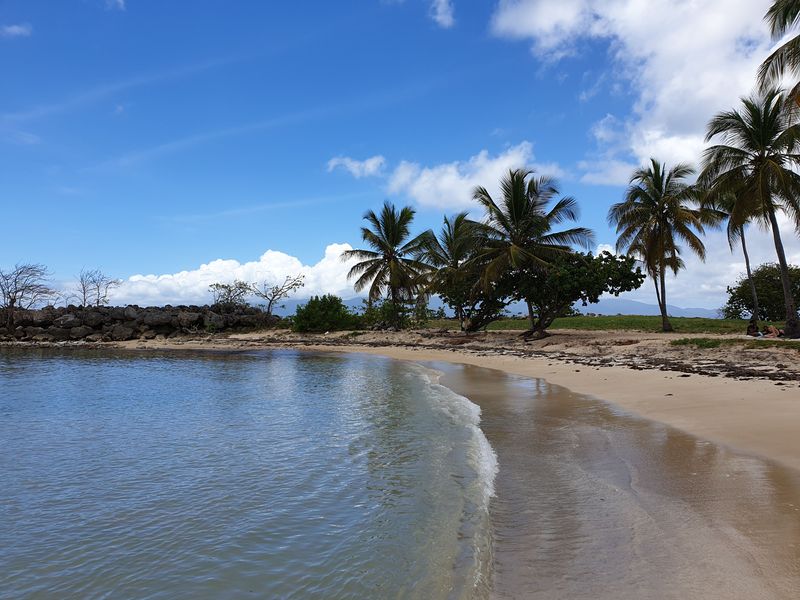 le-bas-du-fort-a-gosier_6