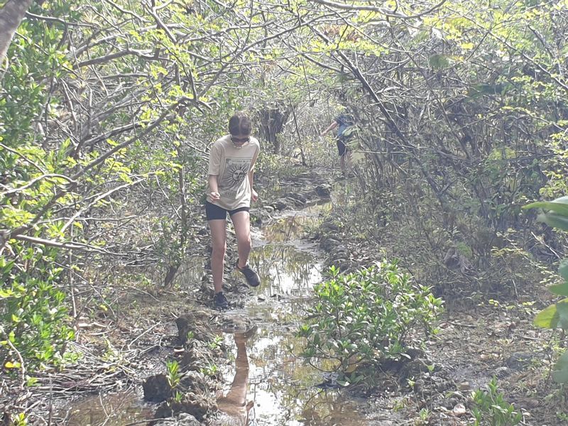 la-mangrove-de-port-louis_3