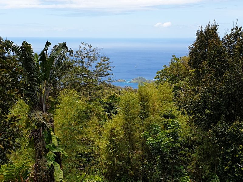 parc-botanique-et-zoologique-des-mamelles_2