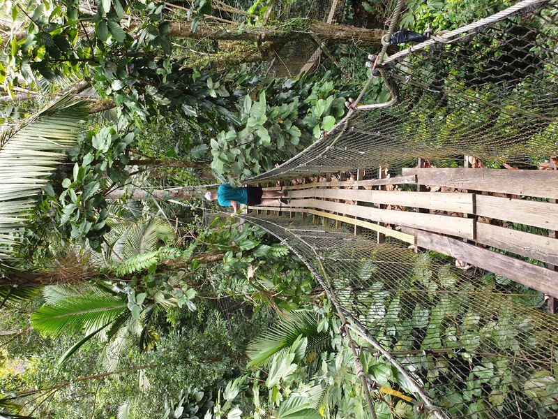 parc-botanique-et-zoologique-des-mamelles_11