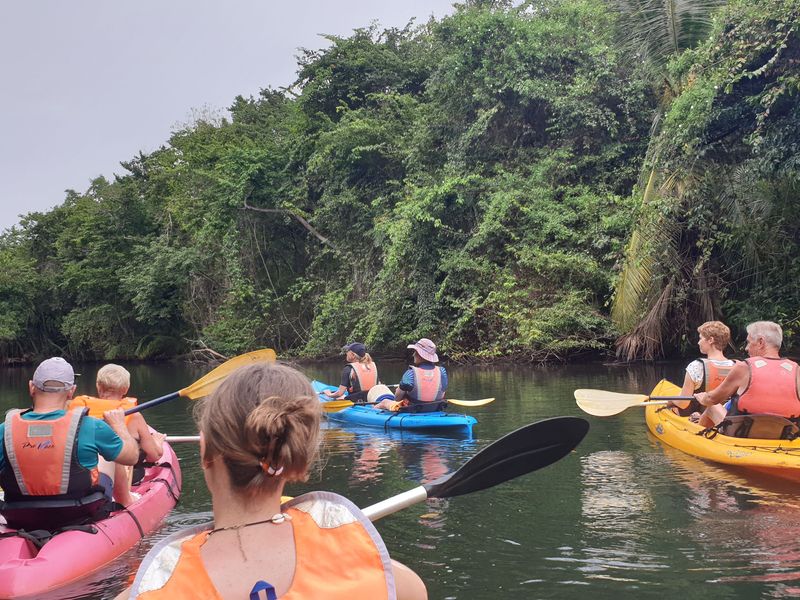 kayak-dans-la-mangrove_6