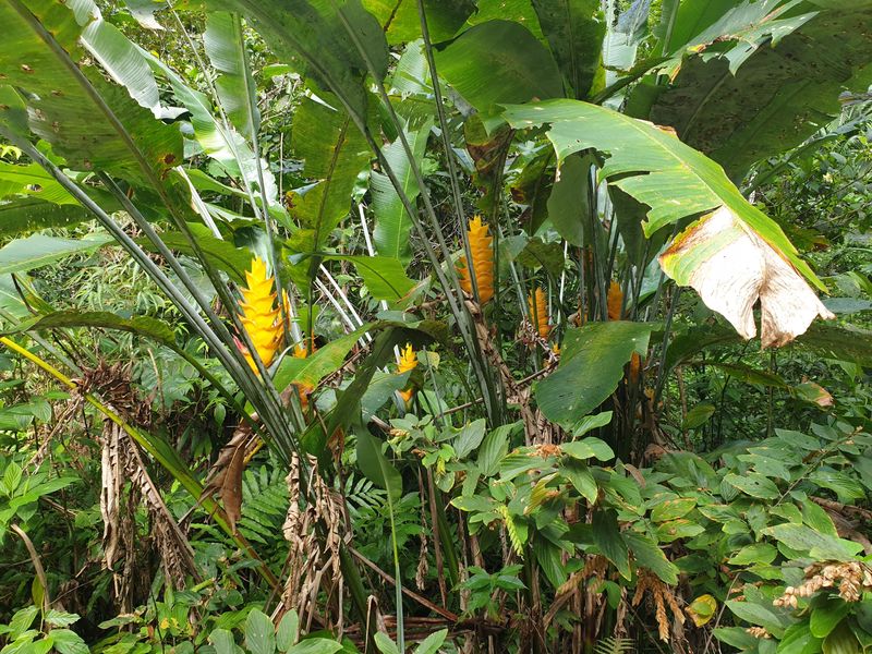 page-or-paragraph-content_4