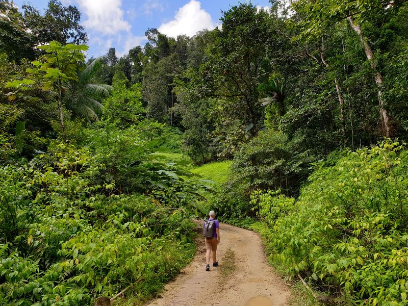 page-or-paragraph-content_2