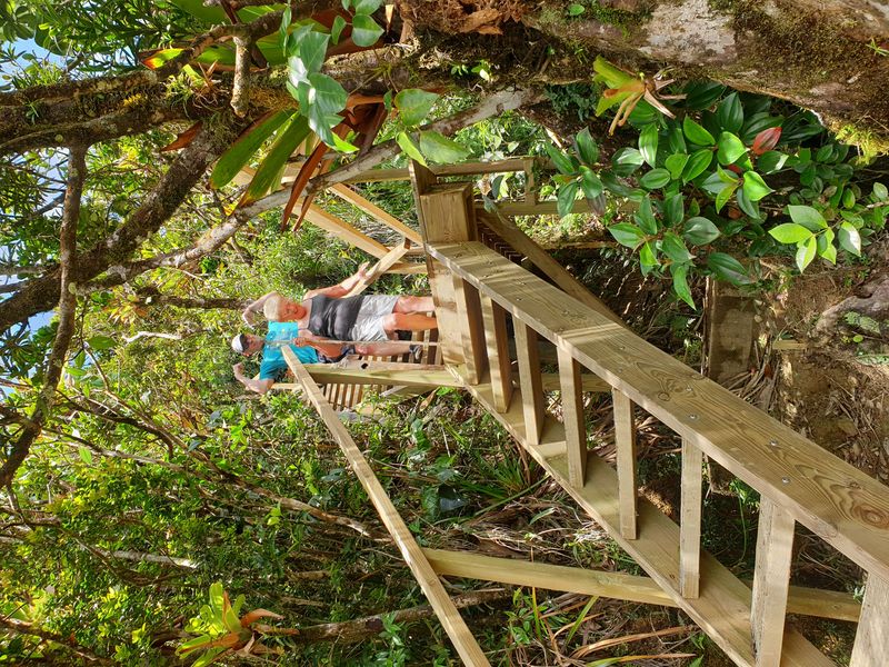 mamelle-du-pigeon_15