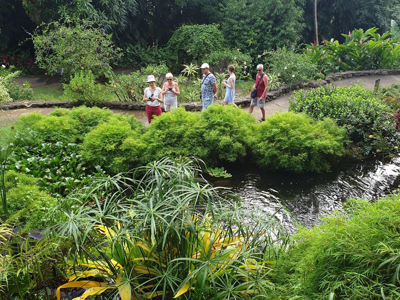jardin-botanique-coluche-de-deshaies_21