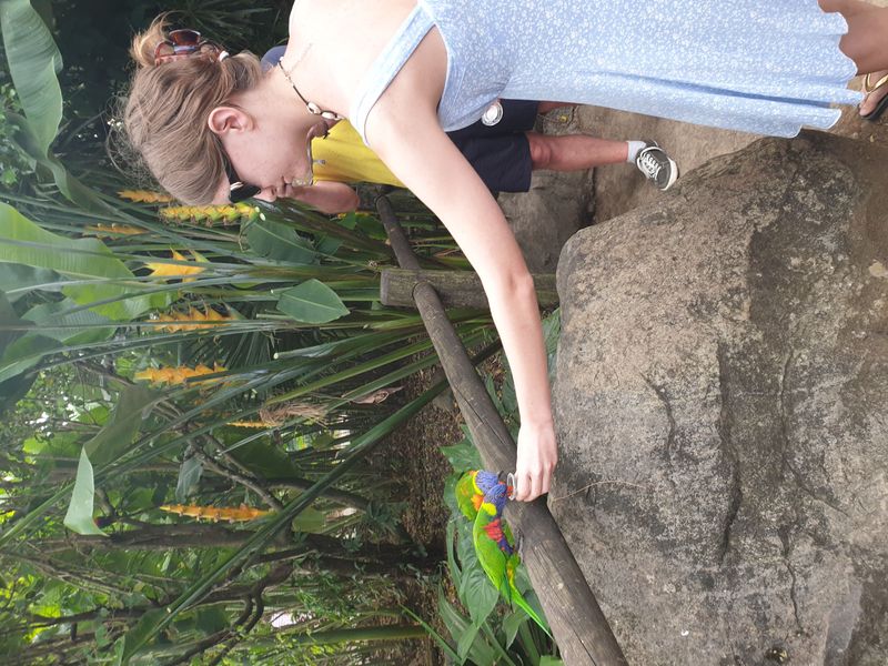 jardin-botanique-coluche-de-deshaies_3