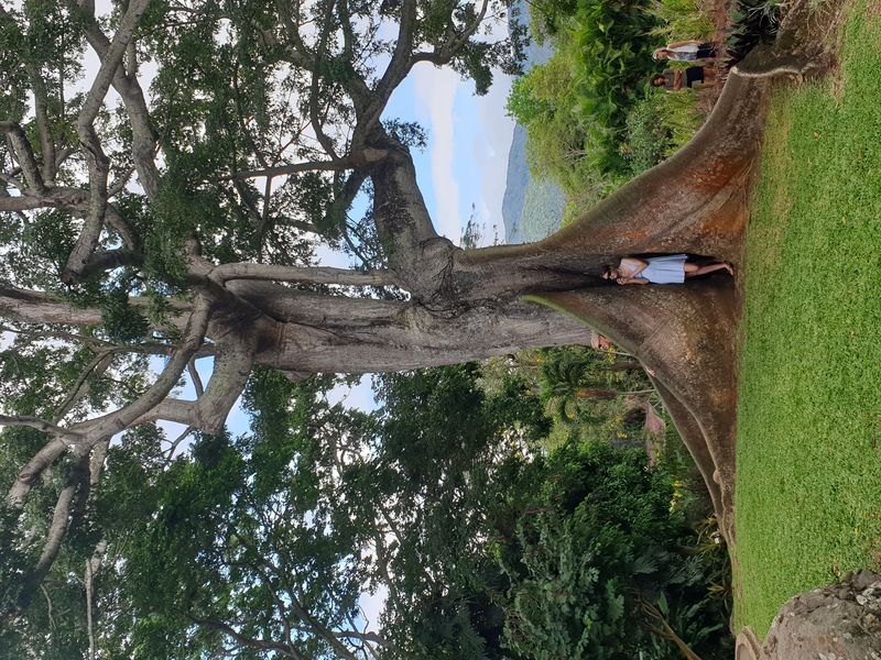 jardin-botanique-coluche-de-deshaies_5