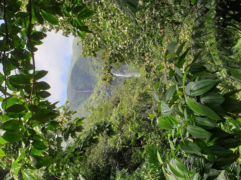 2nd-chute-du-carbet_4