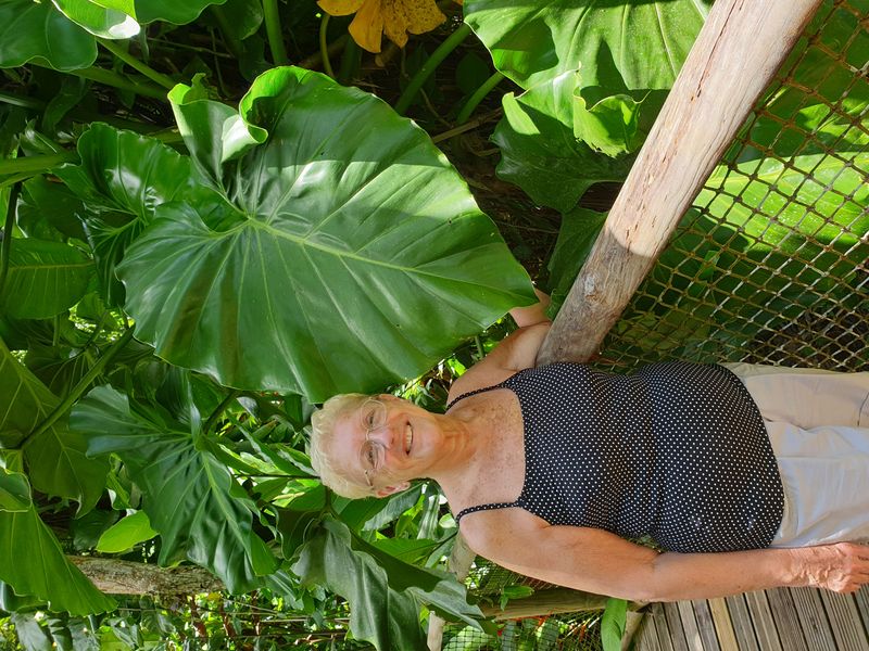 parc-botanique-et-zoologique-des-mamelles_3