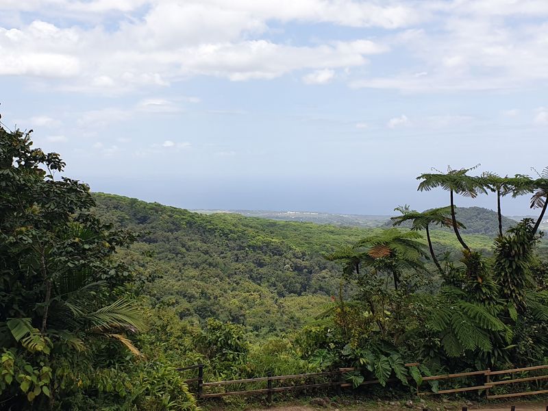 2nd-chute-du-carbet_9