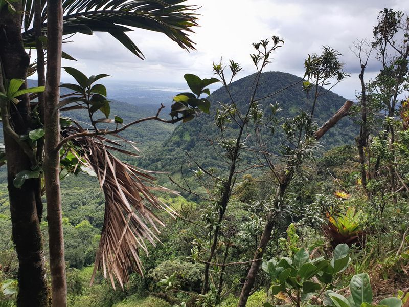 mamelle-du-pigeon_12