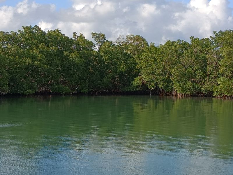 entre-lile-fajou-et-la-barriere-de-corail_26