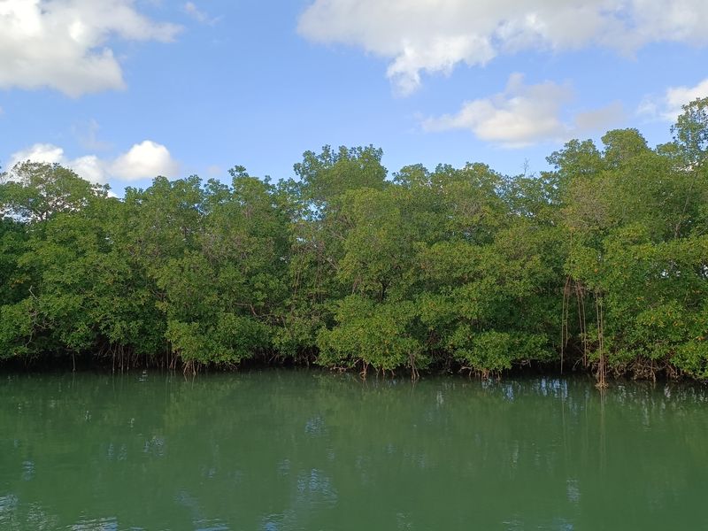 entre-lile-fajou-et-la-barriere-de-corail_27