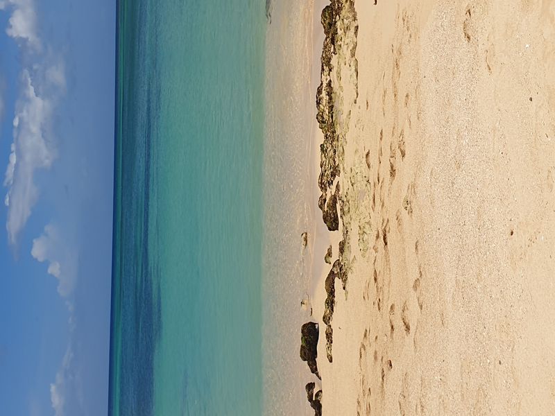 plage-de-lanse-du-souffleur_6