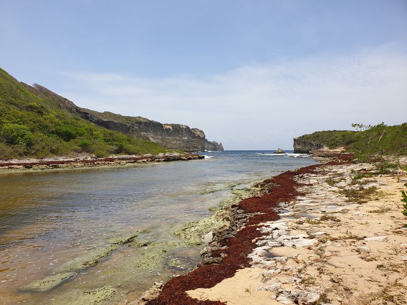 de-la-porte-d-enfer-danse-bertrand-a-la-pointe-du-souffleur_6
