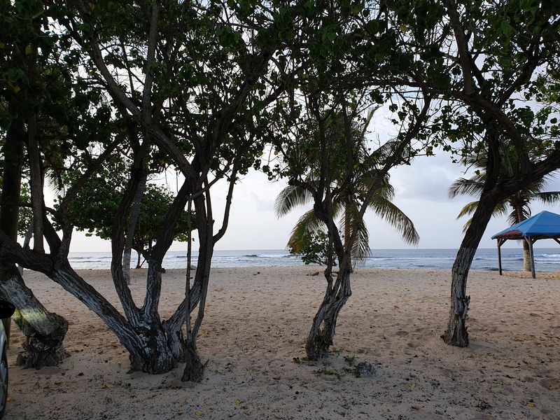 plage-de-la-chapelle_5