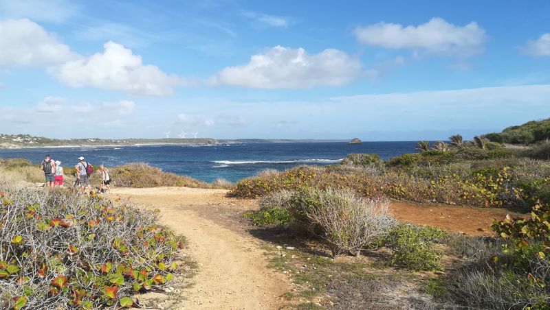 sentier-de-la-pointe-des-chateaux-a-lanse-de-la-gourde_9