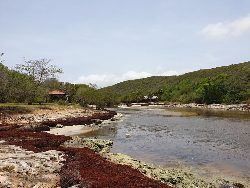 de-la-porte-d-enfer-danse-bertrand-a-la-pointe-du-souffleur_7