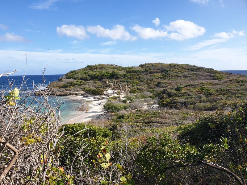 sentier-de-la-pointe-des-chateaux-a-lanse-de-la-gourde_10