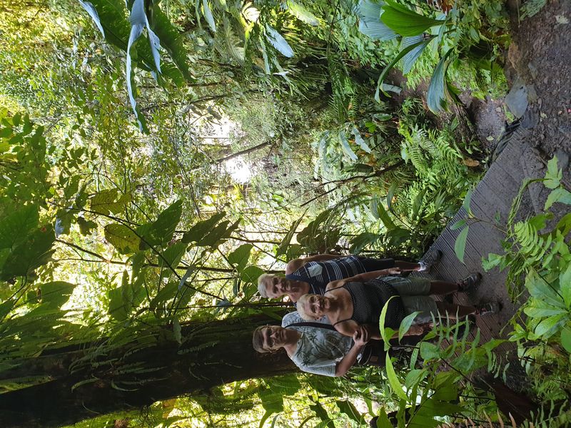 3-eme-chute-du-carbet_7