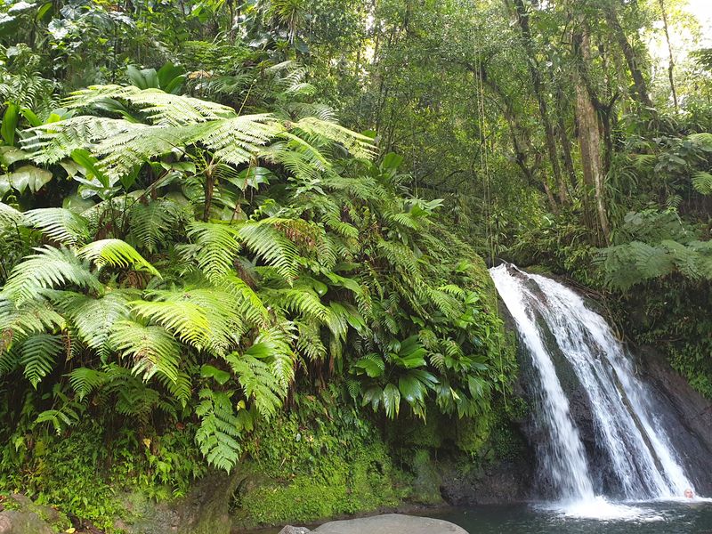 chute-aux-ecrevisses_3