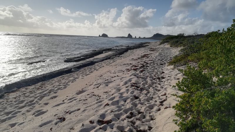 sentier-de-la-pointe-des-chateaux-a-lanse-de-la-gourde_2