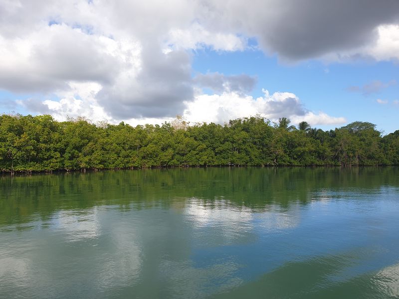 entre-lile-fajou-et-la-barriere-de-corail_24