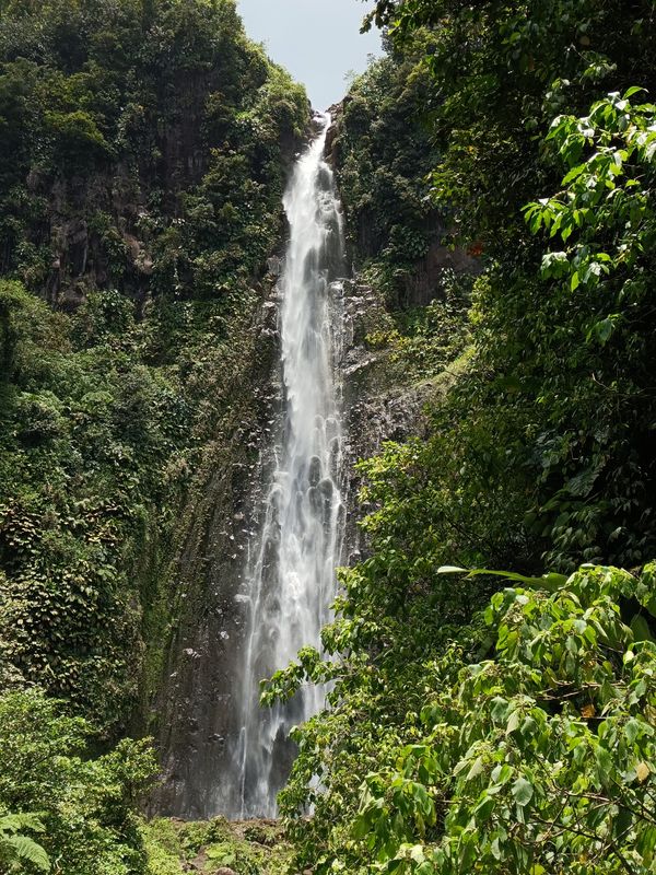 2nd-chute-du-carbet_10