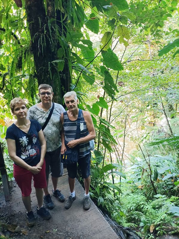 3-eme-chute-du-carbet_16