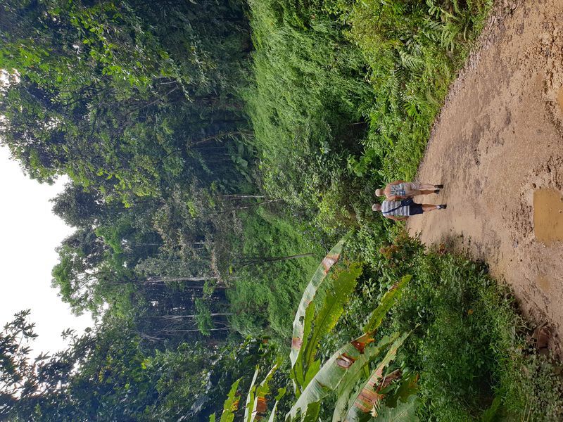 page-or-paragraph-content