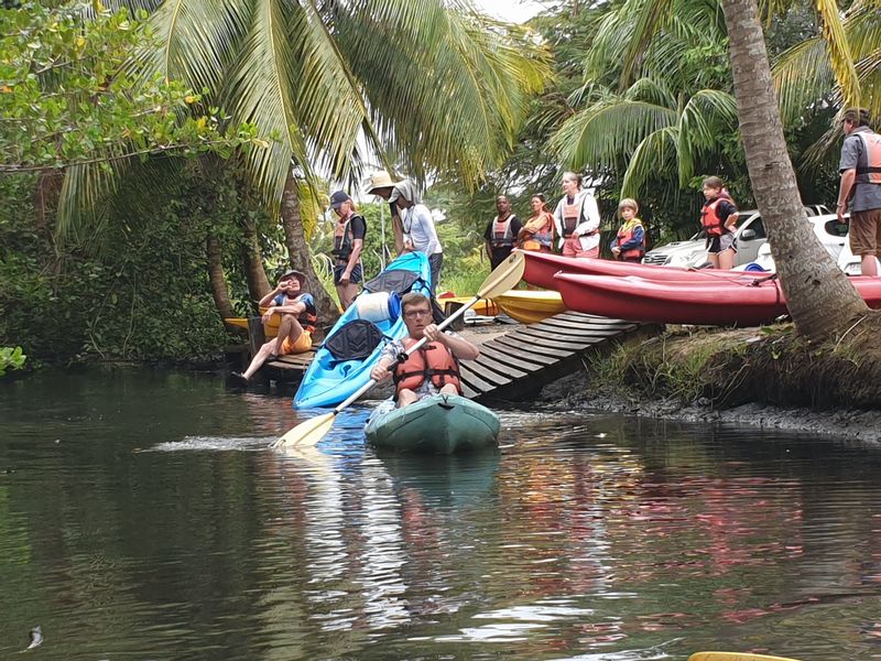 kayak-dans-la-mangrove_4