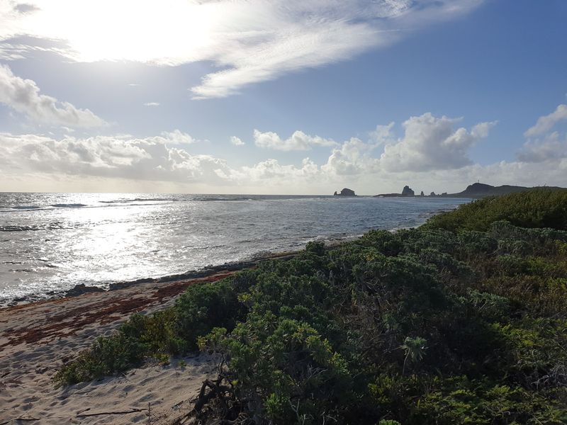 sentier-de-la-pointe-des-chateaux-a-lanse-de-la-gourde_3