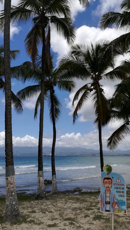 le-bas-du-fort-a-gosier_5