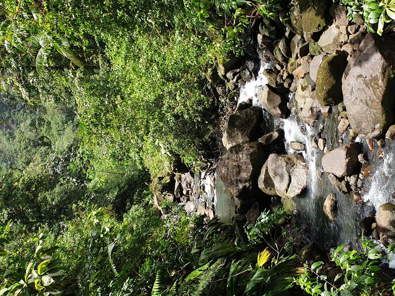 2nd-chute-du-carbet_5