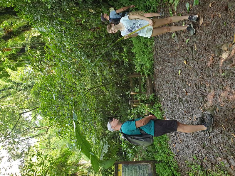 3-eme-chute-du-carbet