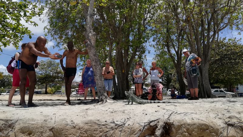 plage-des-raisins-clairs_5